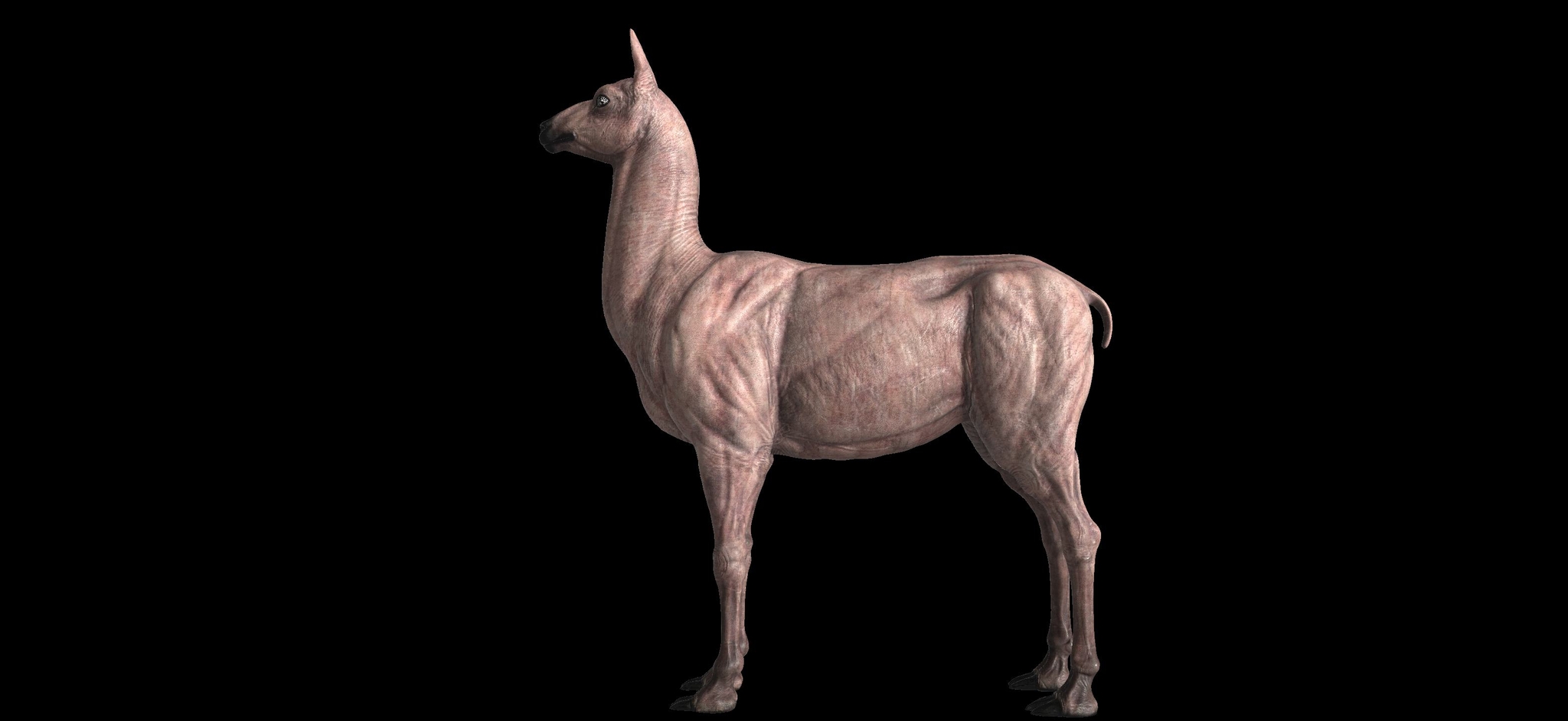 https://cgi.nyc3.cdn.digitaloceanspaces.com/artwork_medias/1762028605530-0-image.jpeg
