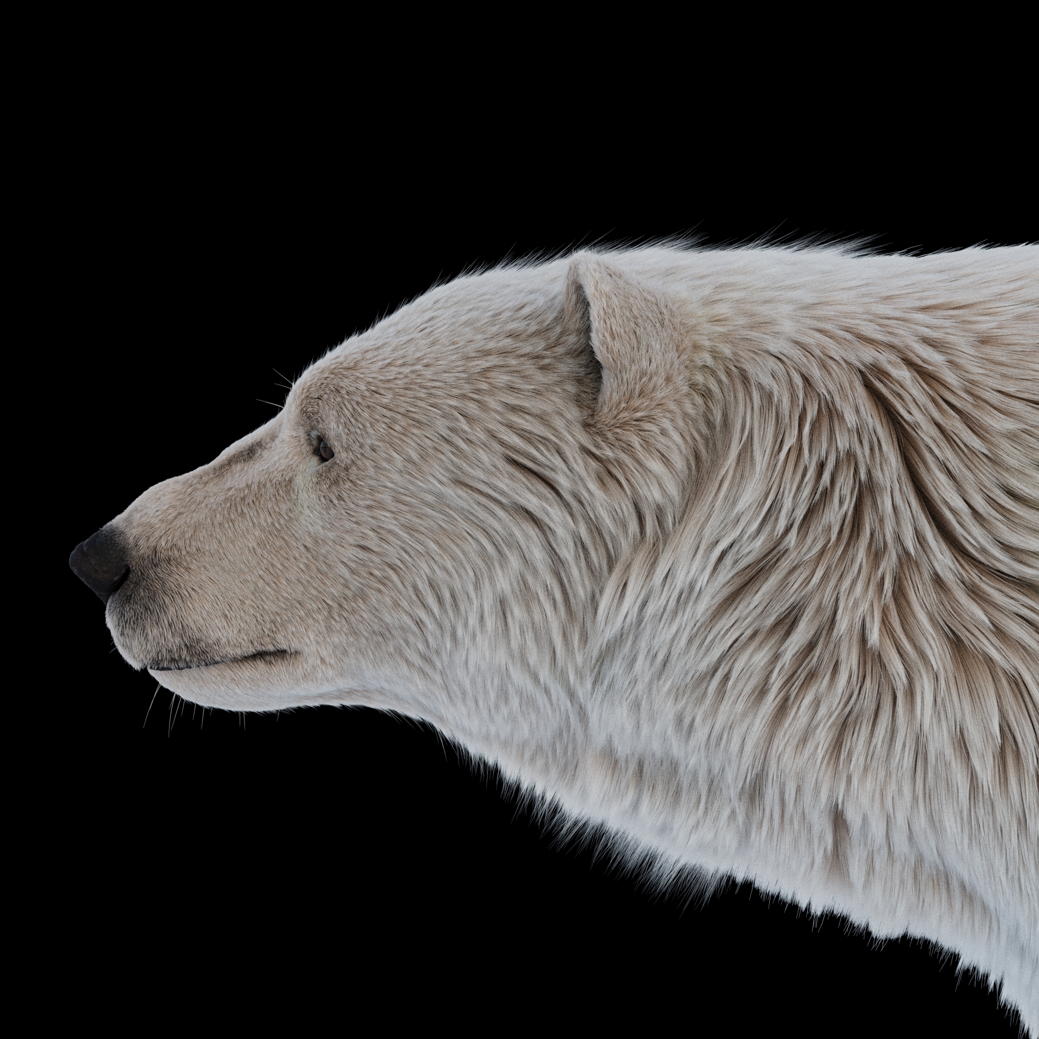 https://cgi.nyc3.cdn.digitaloceanspaces.com/artwork_medias/1782385373127-0-image.jpeg