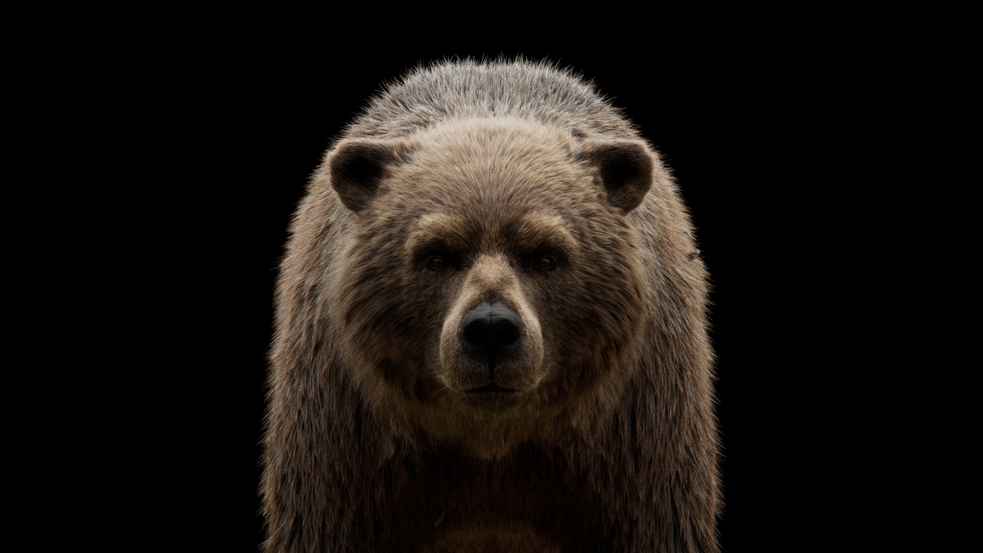 https://cgi.nyc3.cdn.digitaloceanspaces.com/artwork_medias/1783684404688-0-image.jpeg