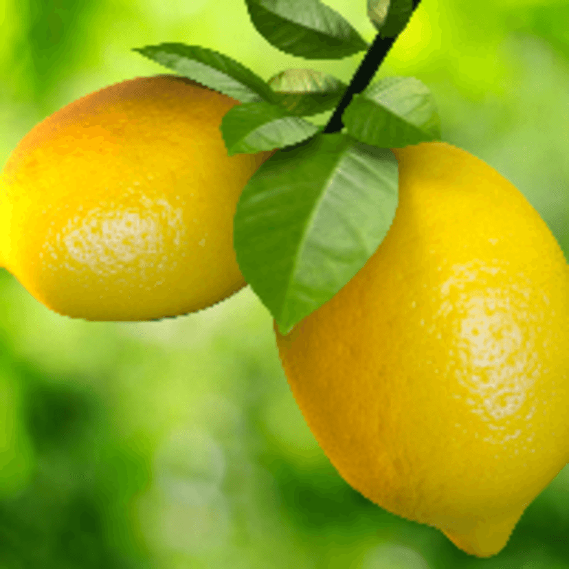 Lemon