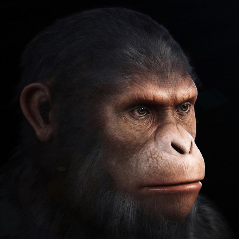 Ape 3d