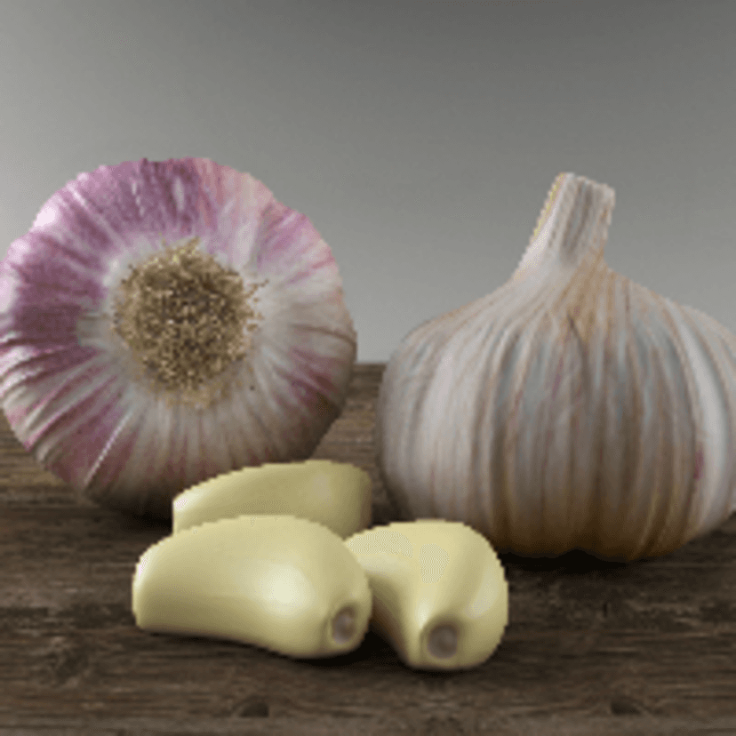 Garlic