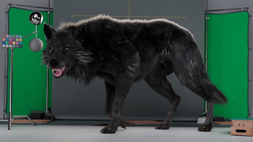 Ragnarok WOLF