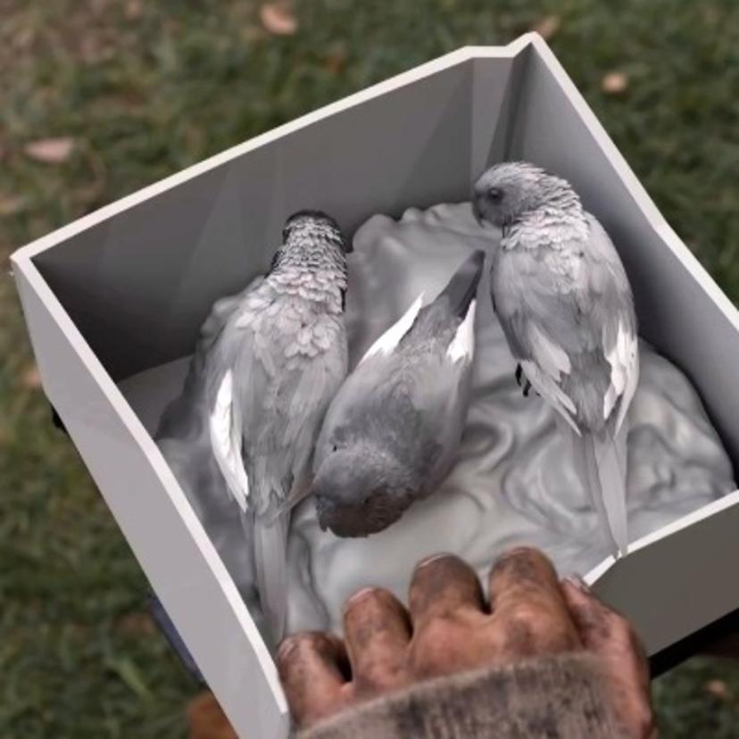 Bird Box: VFX...