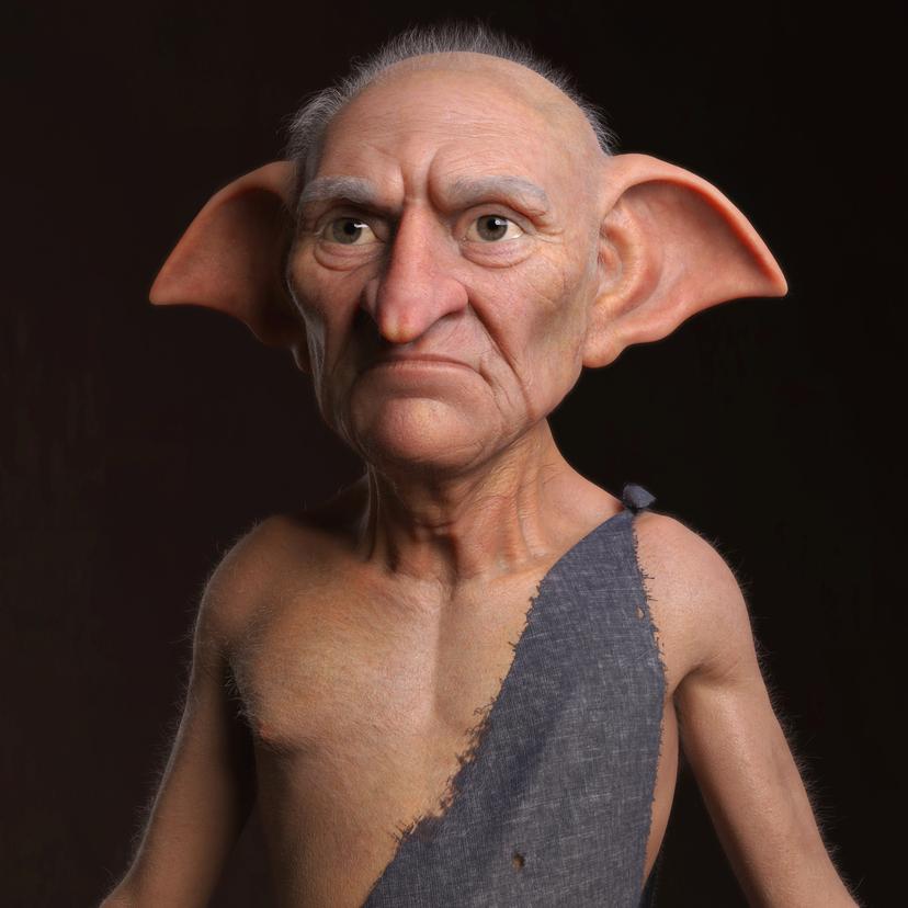 House Elf