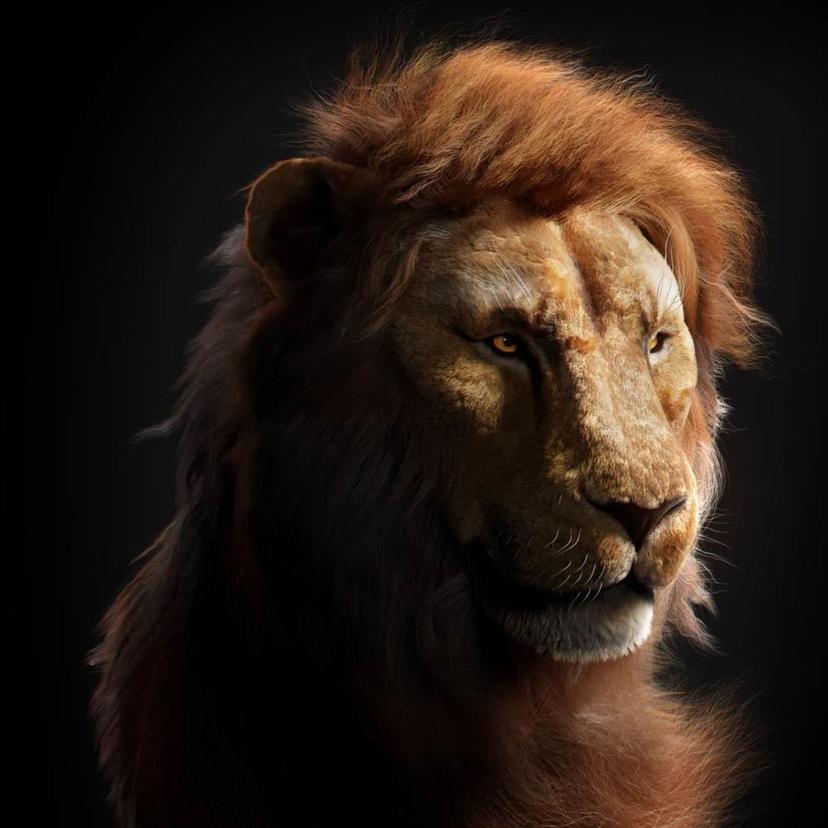  Lion Renders...