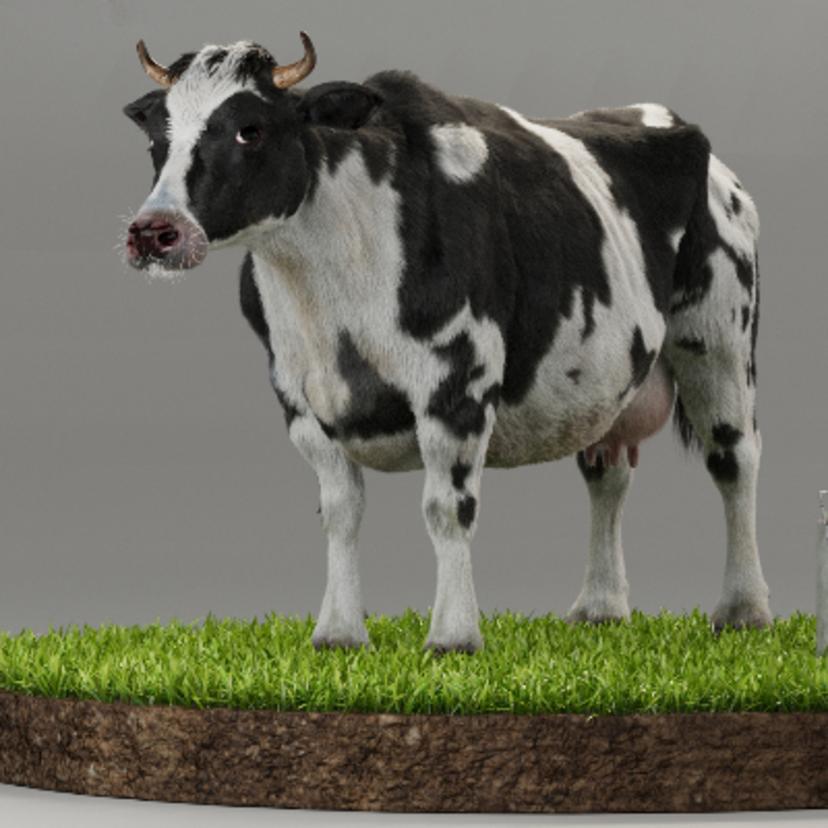 COW