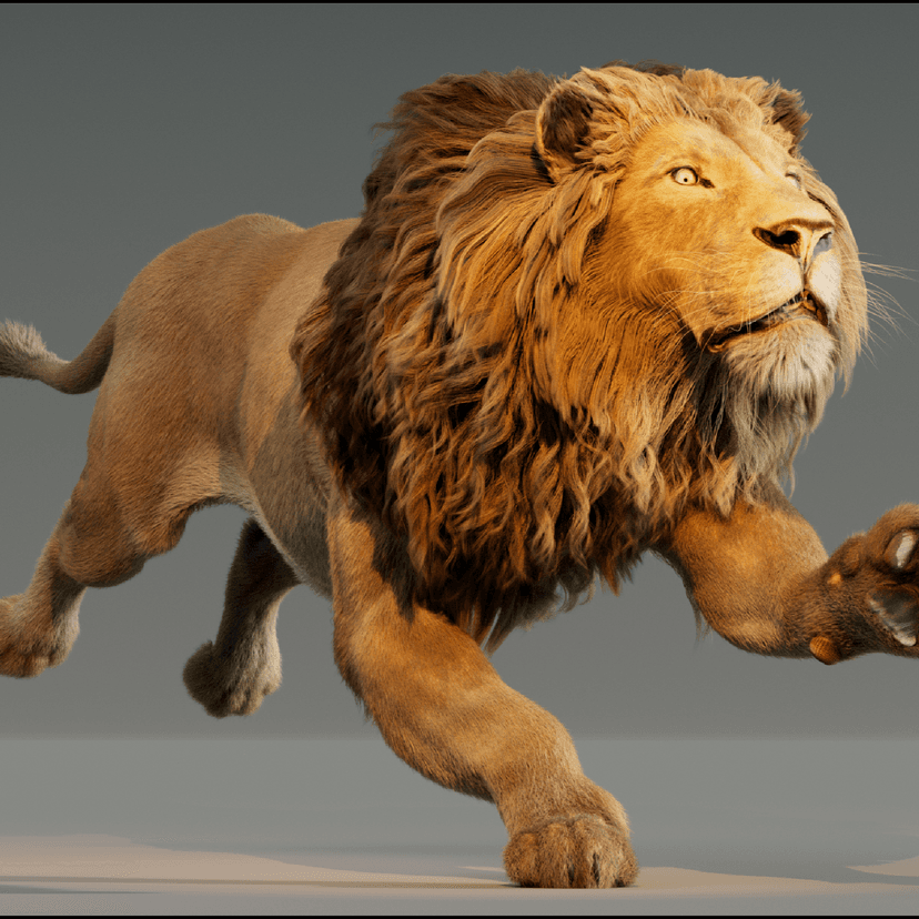 Lion Grooming...