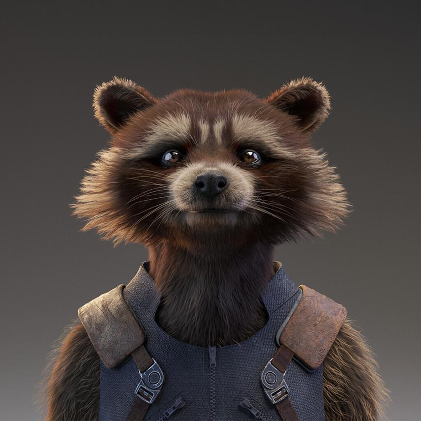 ROCKET RACCO...